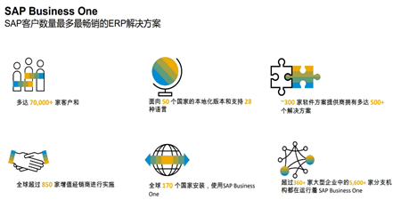 SAP B1 10.0 - 無法獲取訪問令牌，請與管理員聯(lián)系